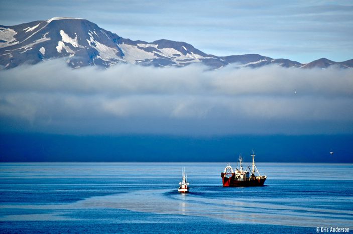 Image for Travel: five things not to do in Iceland  