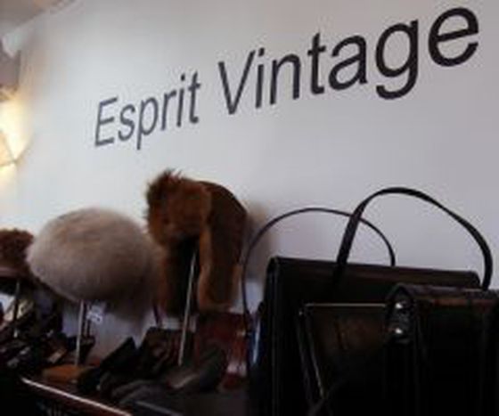 Image for Notre vieux continent serait-il nostalgique ?