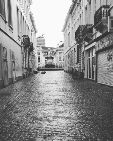 Image for Bruselas, crónica de una capital en alerta 