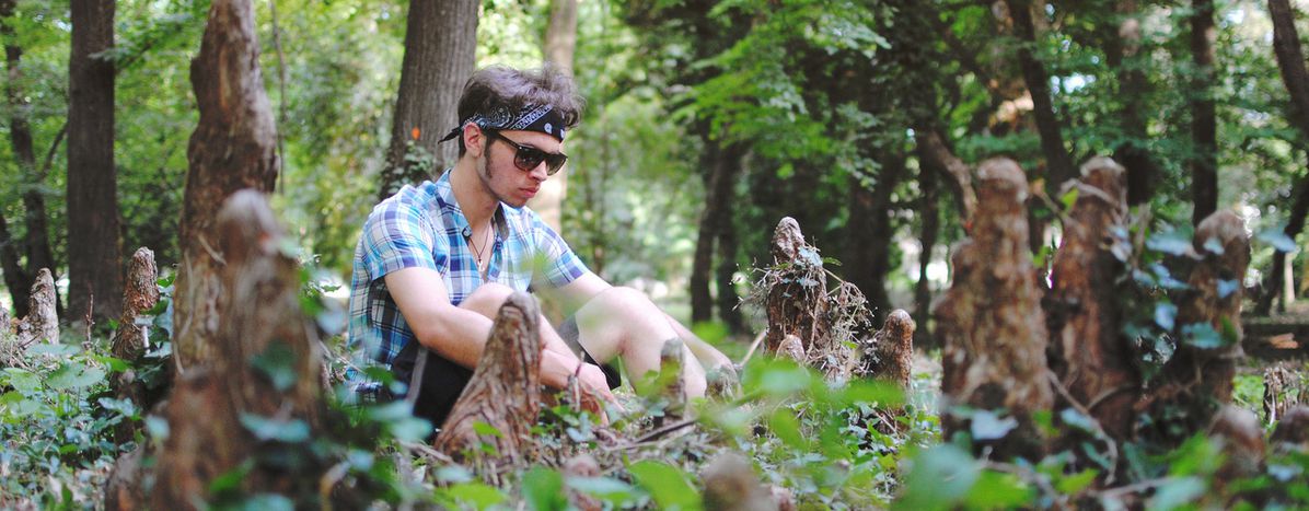 Image for COP21: la conferenza sul clima spiegata dall'inizio