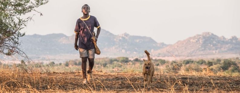 Image for "Les pluies sont arrivées tard cette année et maintenant les arbres ont disparu"