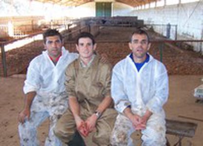 Image for Ja - młody kastrator
