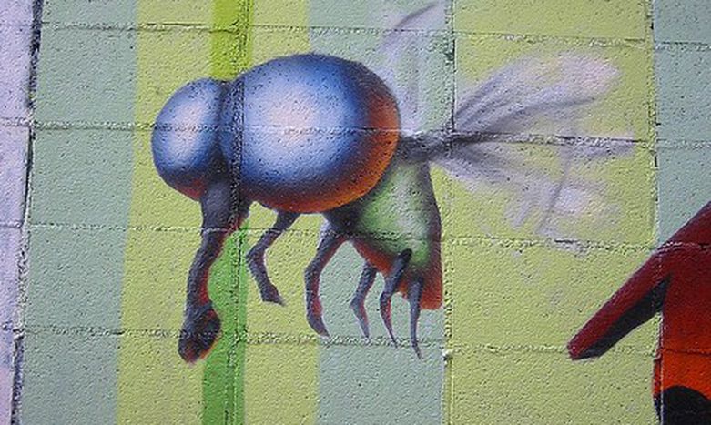 Image for Mosquito, il dispositivo “anti-giovani”
