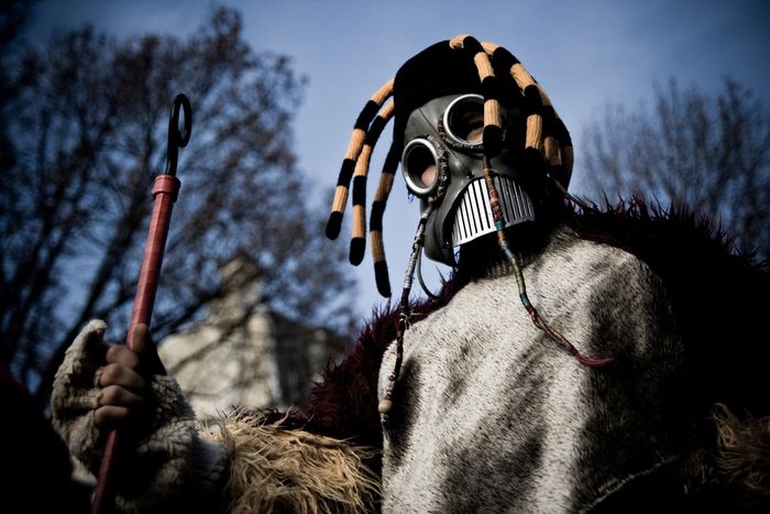 Image for Llegó la primavera, y con ella el Carnaval!