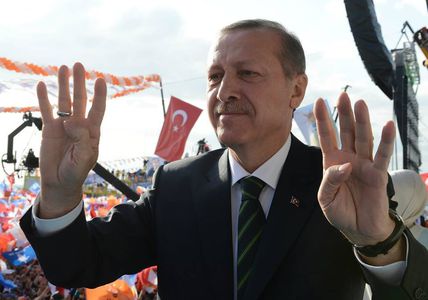 Image for Turquie : Erdogan, bidules Turcs