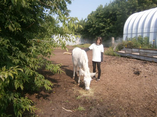 Image for WWOOFING: quando il cosmopolitismo incontra la natura