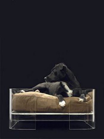Image for Desperate Housedogs
