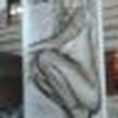 Image for Le complexe du cochon d'inde