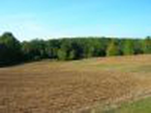 Image for Les énergies renouvelables : entre espoir et contradictions - IIème PARTIE