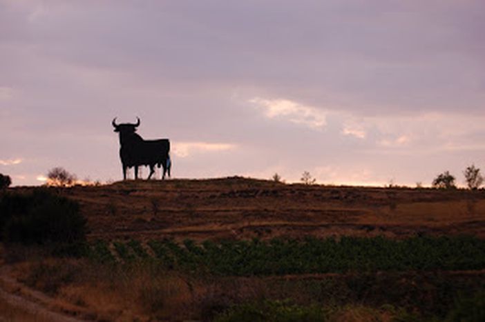 Image for L’agriculture espagnole au sein de l’Union européenne
