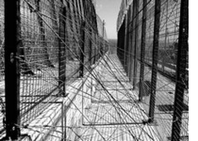 Image for Immigrazione dall’Africa: legalizzala
