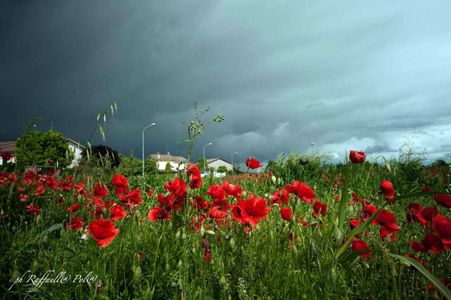 Image for Quando in campagna c'è in gioco il nostro futuro