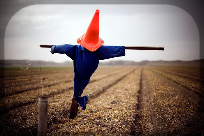 Image for Krise: Mehr Griechen suchen den Freitod