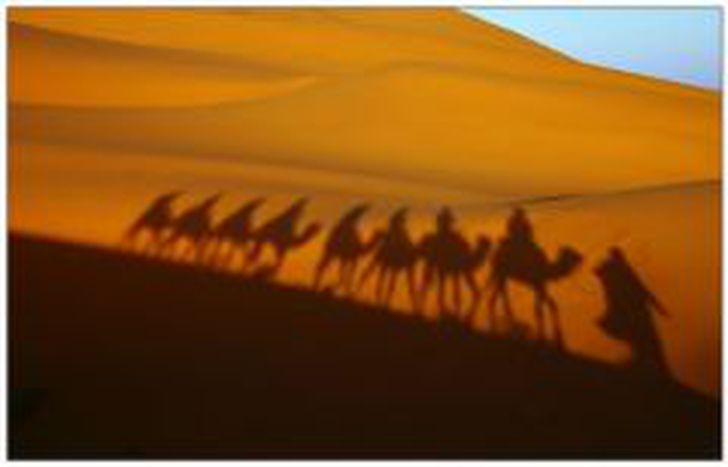 Image for Il sistema tribale libico: identità dalla differenza?