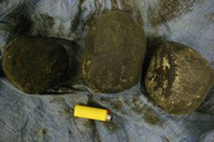 Image for L'opium, or vert afghan
