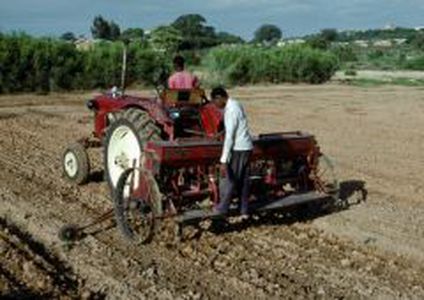 Image for L’agriculture vivrière à la reconquête des assiettes