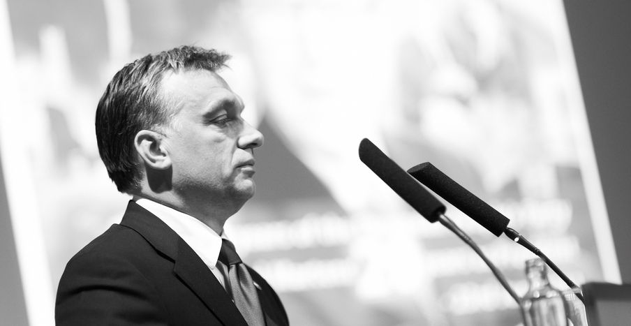 Image for Viktor the winner