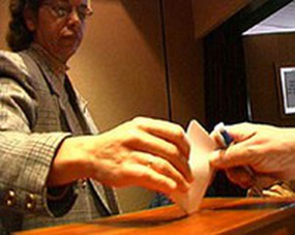 Image for The temptation of referenda
