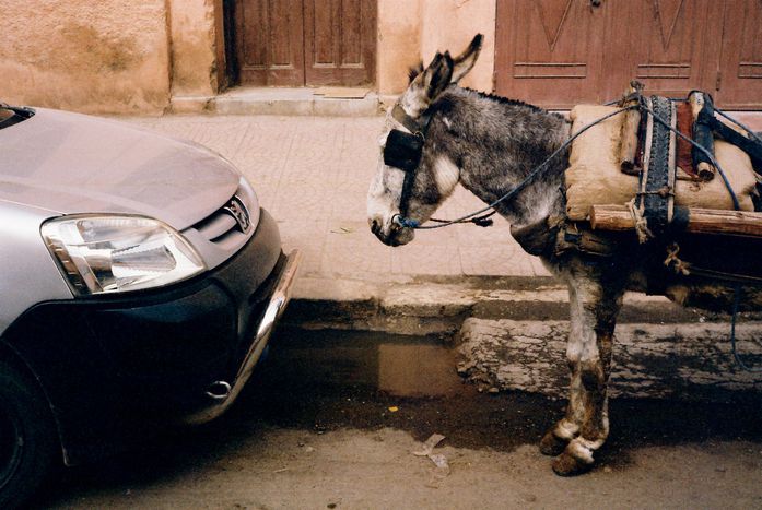 Image for Il posteggiatore abusivo spiegato a un danese