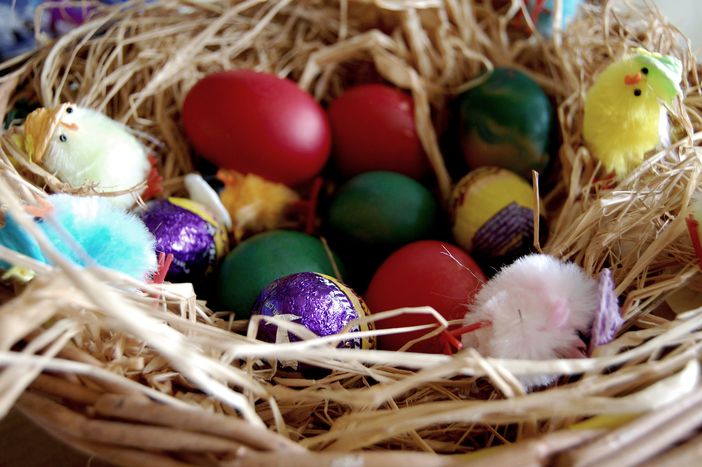 Image for Allez viens, on sort!